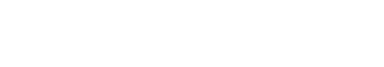 Gemini Sports